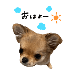 [LINEスタンプ] くるたんくるたん