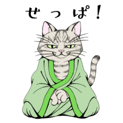 [LINEスタンプ] ねこらかん サバゼン Designed by Taishi