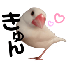 [LINEスタンプ] チェリーハウス