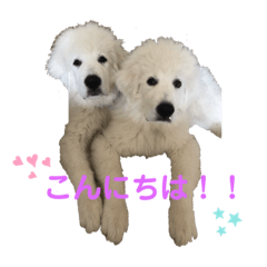 [LINEスタンプ] アドエマすたんぷ