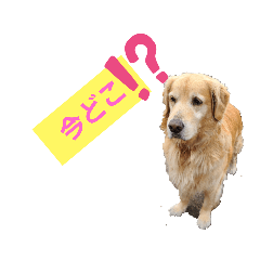 [LINEスタンプ] ゴエもん1