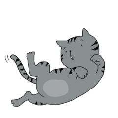 [LINEスタンプ] ゆるゆるポツ目ねこ[アメショ編]