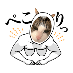 [LINEスタンプ] ねことも＆うちのねこ②