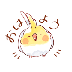 [LINEスタンプ] 日常で使えるオカメインコスタンプ