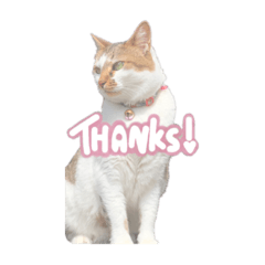 [LINEスタンプ] うちのちゅぴVol.2