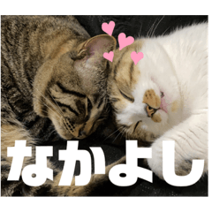 [LINEスタンプ] てっちゃんとじーちゃん
