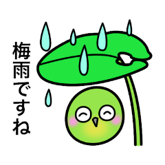 [LINEスタンプ] メジロのジロちゃん 梅雨・夏