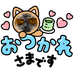 [LINEスタンプ] 嫌な態度の猫