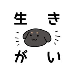 [LINEスタンプ] 犬に飼われています。(ブラックタン)