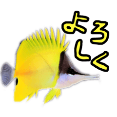 [LINEスタンプ] さかな stamp