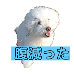 [LINEスタンプ] たんたんの日常で使えるスタンプ！