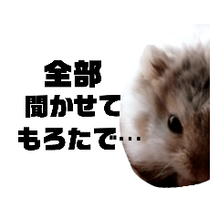 [LINEスタンプ] ぐらちゃんのおうち