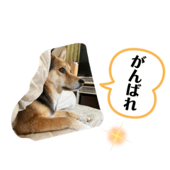[LINEスタンプ] 花スタンプ4