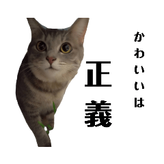 [LINEスタンプ] あくび猫みゃーちゃんの裏表