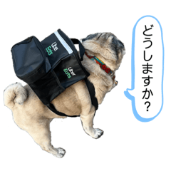 [LINEスタンプ] パグのけんちゃん Part.7の画像（メイン）