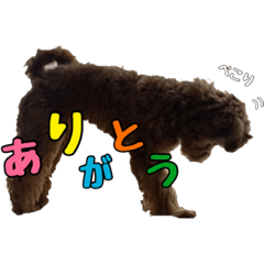 [LINEスタンプ] うにくん〜まんちぇの日常〜
