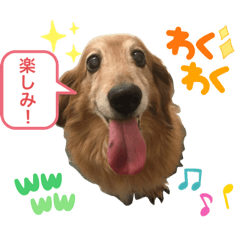 [LINEスタンプ] ラルクさんスタンプ3