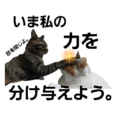 [LINEスタンプ] ニアノスタンプ2