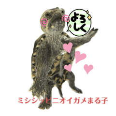 [LINEスタンプ] ミシシッピニオイガメまる子の一日