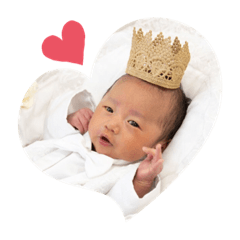 [LINEスタンプ] りゅうちゃんだね
