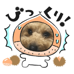 [LINEスタンプ] いちごワンスタンプ2