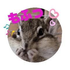 [LINEスタンプ] みんなと一緒20