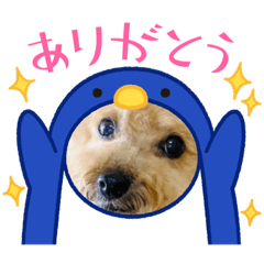 [LINEスタンプ] いちごワンだよ5