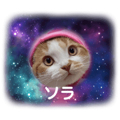 [LINEスタンプ] スコティッシュの宇宙（そら）