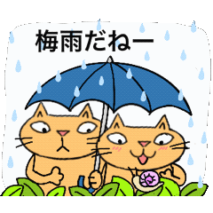 [LINEスタンプ] Juns の梅雨の猫たちの画像（メイン）