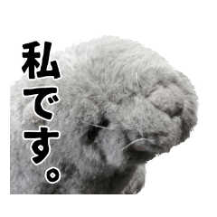 [LINEスタンプ] 笑いアシカのワタナベさん