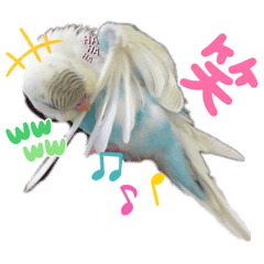 [LINEスタンプ] セキセイインコのモル.ナナ.ハクちゃん