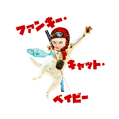 [LINEスタンプ] rock_cat777