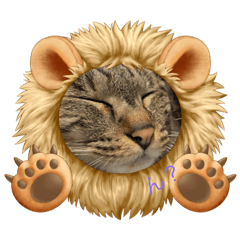 [LINEスタンプ] 照屋家の猫
