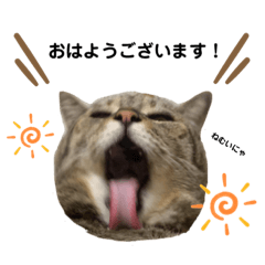 [LINEスタンプ] さくさく使えるさくスタンプ