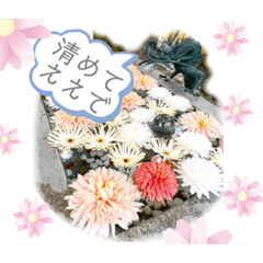 [LINEスタンプ] 開運✨スピリチュアル✨花神様✨浄化