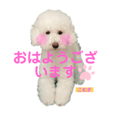 [LINEスタンプ] 今日のこむぎ①