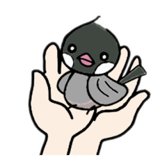 [LINEスタンプ] morikoとピイコの毎日スタンプ