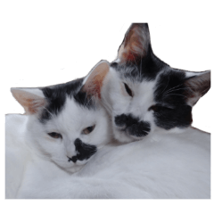 [LINEスタンプ] ふみふくのゆるいスタンプ