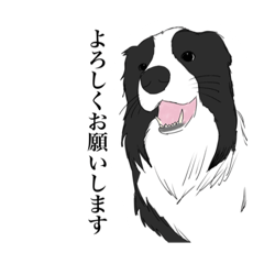 [LINEスタンプ] べっちくんスタンプ