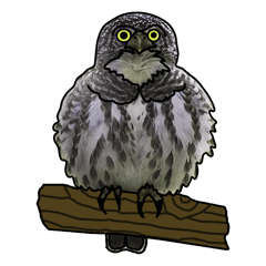 [LINEスタンプ] フクロウとワシ