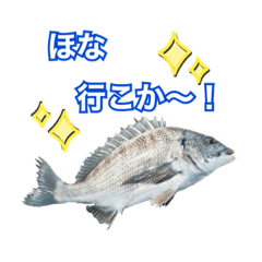 [LINEスタンプ] チヌ釣り師専用スタンプ関西弁