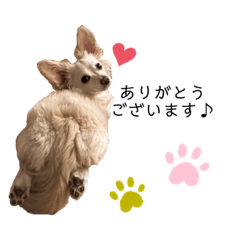 [LINEスタンプ] 世界一耳が大きいももたんのスタンプ