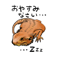 [LINEスタンプ] フトアゴヒゲトカゲとボールパイソン