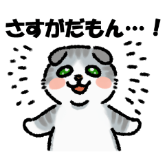 [LINEスタンプ] スコティッシュフォールドのめぐえもん