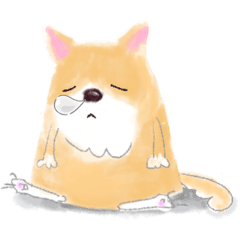 [LINEスタンプ] 柴犬のSHIBATTA