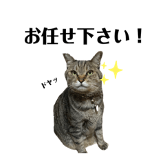 [LINEスタンプ] さくさく使えるさくスタンプ お試し用