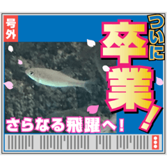 [LINEスタンプ] 意味なしスタンプs.