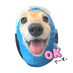[LINEスタンプ] ピットくん 2