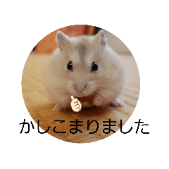 [LINEスタンプ] 敬語だけではないハムスタースタンプ