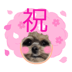 [LINEスタンプ] あお 最新